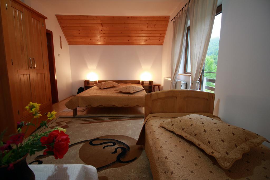 Vila Sucu Hotel Poiana Mărului Værelse billede